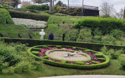 Catania: donate 800 piante al Giardino Bellini